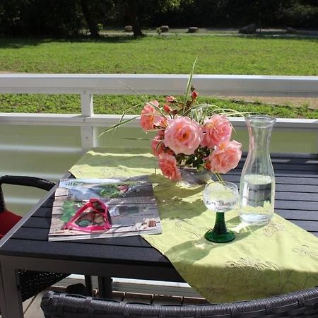 Duenenrose App Nr 03 Max 3 Pers Appartement Dierhagen Buitenkant foto